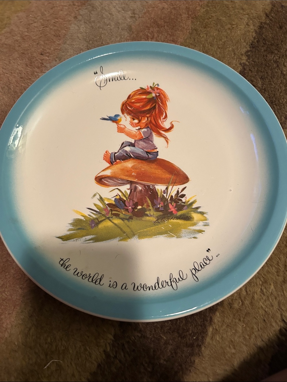 vintage Blue Rim Decorative Ceramic Plate - 'The World is a Wonderful Place'